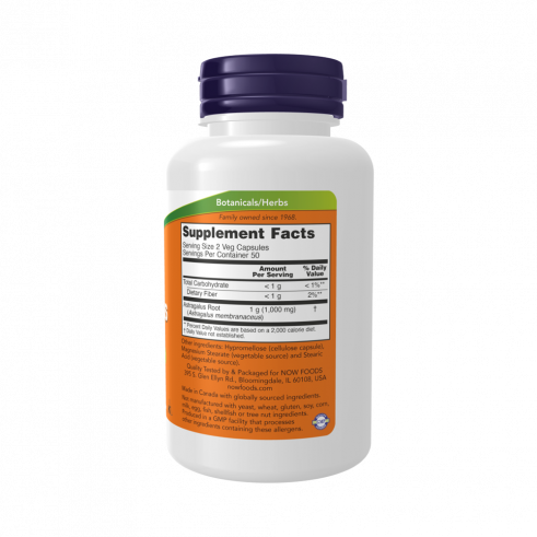 NOW Astragalus 500 mg, Астрагал 500 мг, 100 капсул